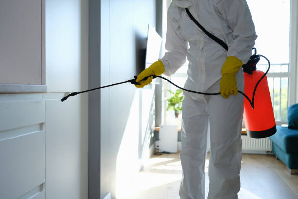 Why You Should Choose Our Mold Remediation Services in Spring Lake Park, MN